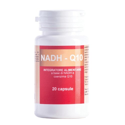 NADH-Q10 20 CAPSULE