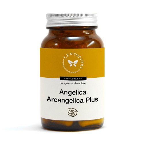 ANGELICA SIN PLUS 100C CFI