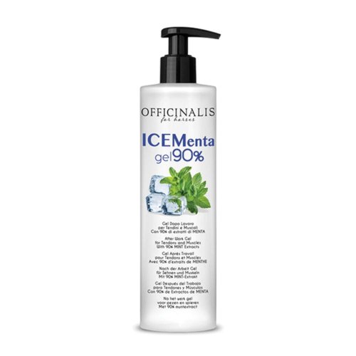 ICE GEL 90% 250ML ICE GEL 90% 250ML