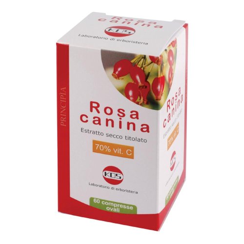 ROSA CANINA 70% VI C60 KOS