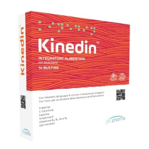KINEDIN 14BUST