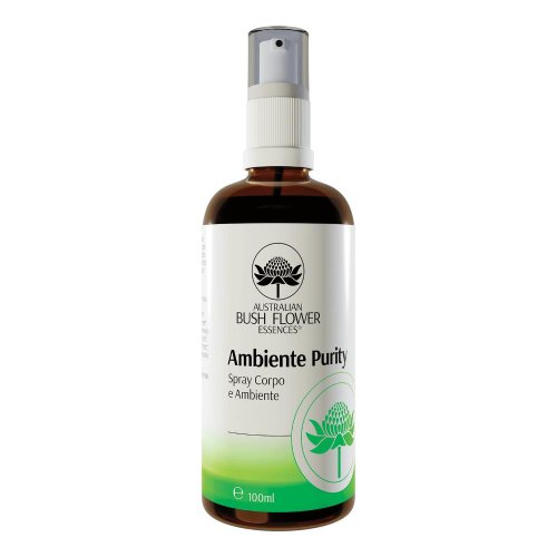 AMBIENTE PURITY SPRAY AMB/CORP