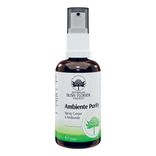 AMBIENTE PURITY SPRAY AMB/CORP