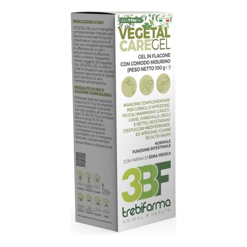 VEGETAL CARE GEL 100G