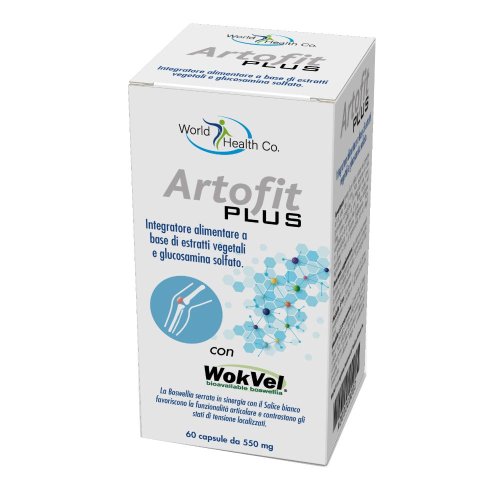 ARTOFIT PLUS 60CPS ARTOFIT PLUS 60CPS