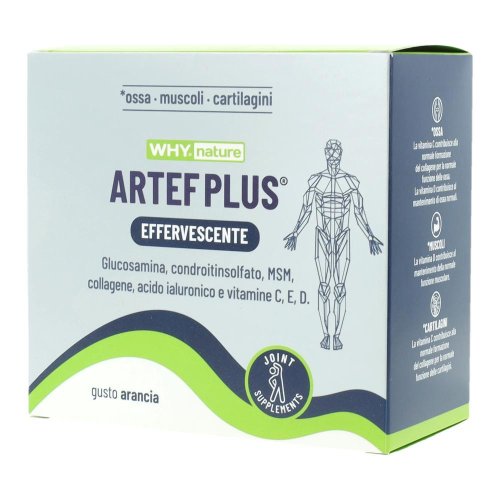 WHYNATURE ARTEF PLUS 24BUST WHYNATURE ARTEF PLUS 24BUST