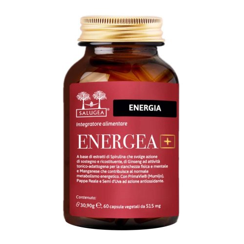 ENERGEA+ 60CPS (I6/222) SALUGE