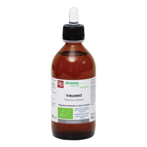 VIBURNO MG BIO 200ML FTM