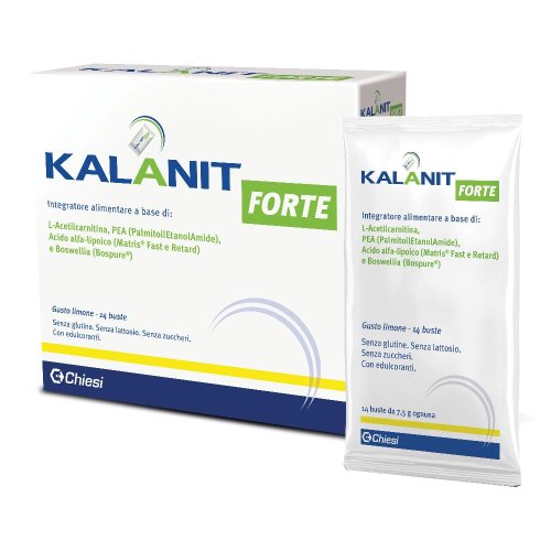 KALANIT FORTE 14BUST