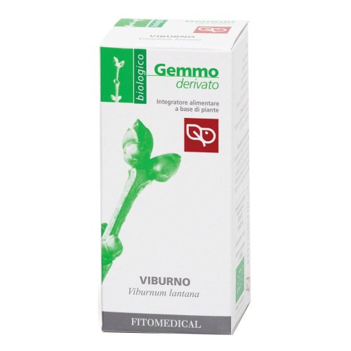 VIBURNO MG BIO 50ML FTM