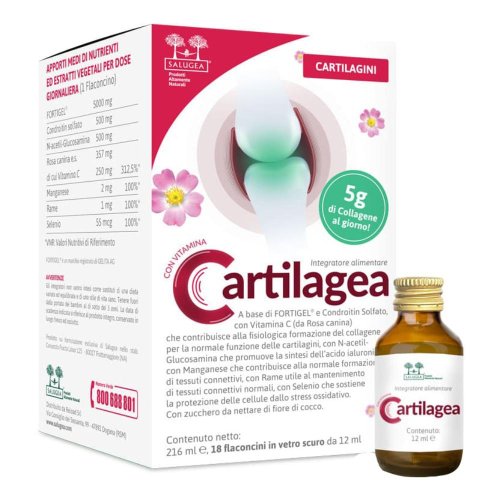 SALUGEA CARTILAGEA 18FL