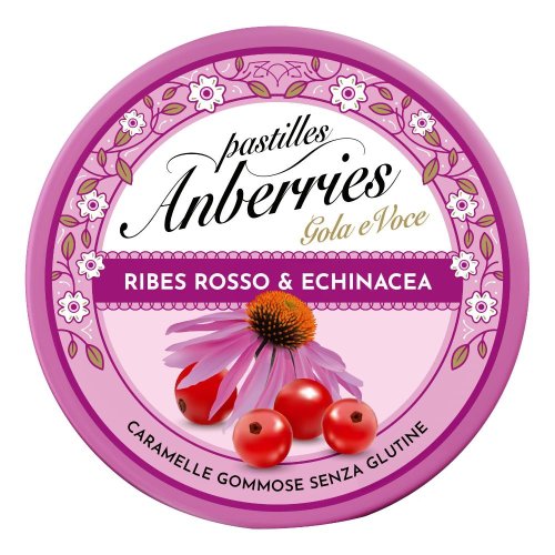 ANBERRIES RIBES ROS&ECH50G