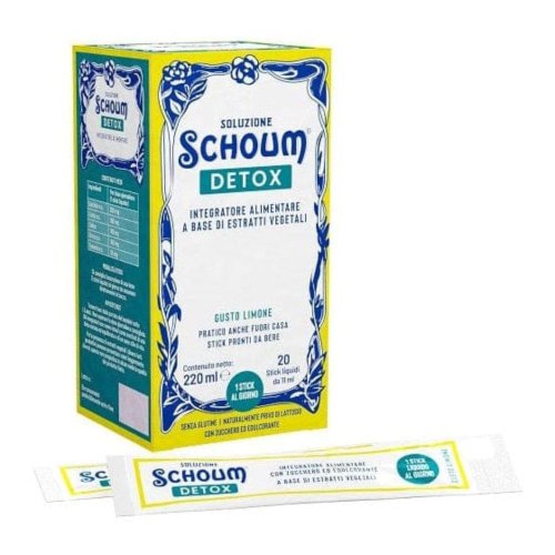 SOLUZIONE SCHOUM DETOX 20S SOLUZIONE SCHOUM DETOX 20S