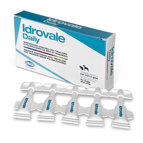 IDROVALE DAILY            0,5ML   10 FIA