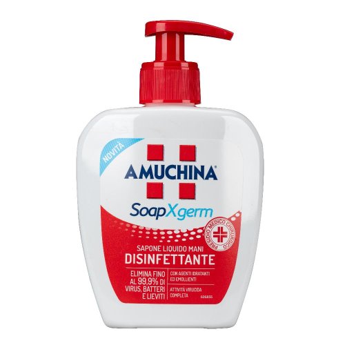 AMUCHINA SAP LIQ DIS 250ML