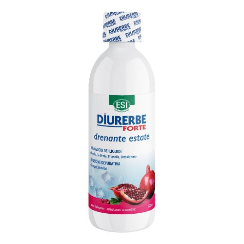 ESI DIURERBE FT DRE MELOG 500ML      FLA