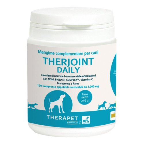 THERJOINT DAILY           240GR  120 CPR