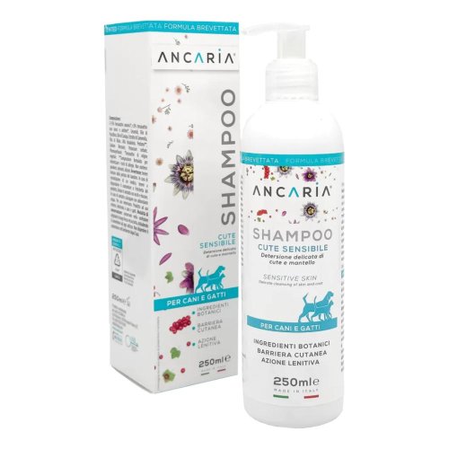 ANCARIA SHAMPOO           250ML      FLA