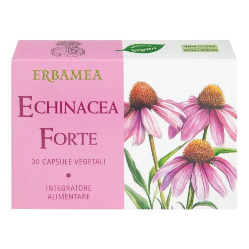 ECHINACEA FORTE 30CPS ECHINACEA FORTE 30CPS