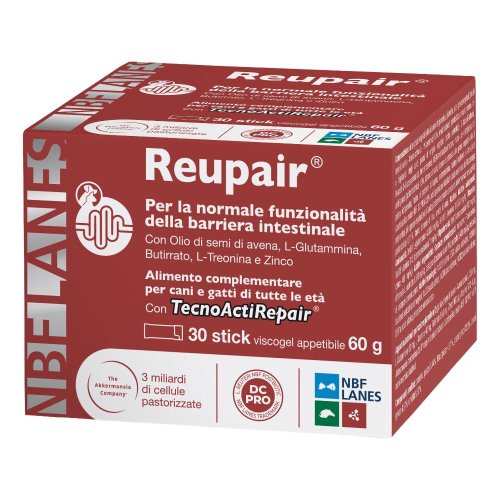 V REUPAIR 30STICK VISCOGEL 2GR C